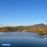 Seoul Grand Park in autumn is pure magic!