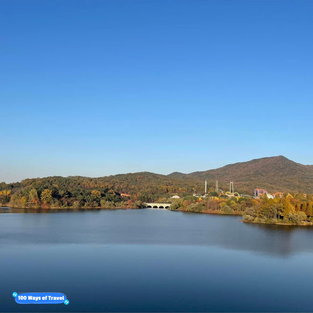 Seoul Grand Park in autumn is pure magic!