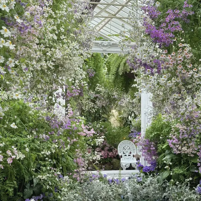 墨爾本溫室花園🌸🌺🌻🌼