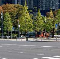 東京景點｜暢遊東京都心的綠洲—皇居外苑．千鳥之淵