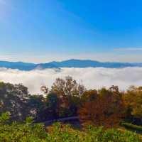 岡山景點｜空中之城．日本唯一山城天守閣—備中松山城（高粱城）