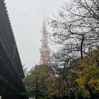 Sky-High Thrills and Picture-Perfect Moments at Tokyo Tower!