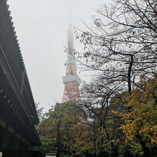 Sky-High Thrills and Picture-Perfect Moments at Tokyo Tower!