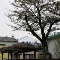 ศาลเจ้า Fujisan Hongu Sengentaisha