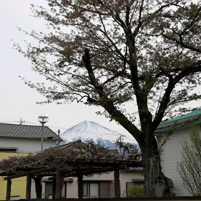 ศาลเจ้า Fujisan Hongu Sengentaisha