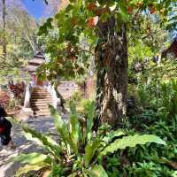 Explore the Tranquility of Wat Pha Lat
