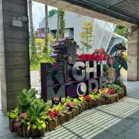 Sentosa Island: Singapore’s Ultimate Leisure Destination