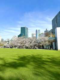 東京　東京観光　東京ミッドタウン芝生公園で寛ぐのはサイコーだぞ！