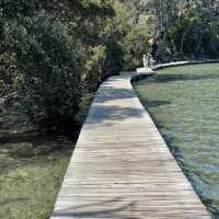 Merimbula Boardwalk around the lake, pristine oyster farms. 