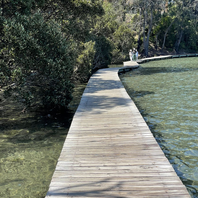 Merimbula Boardwalk around the lake, pristine oyster farms. 