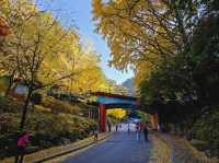 The glittering foliage at Yeonhwagyo, Guinsa at Danyang