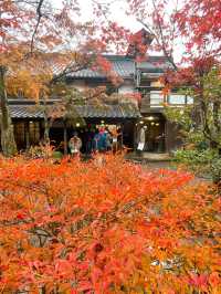 【湯布院】感動！亀の井別荘の素晴らしい紅葉✨