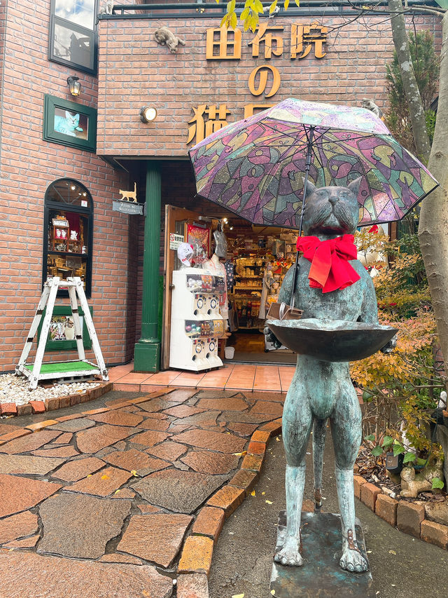 【湯布院】猫好き犬好きに必見！✨