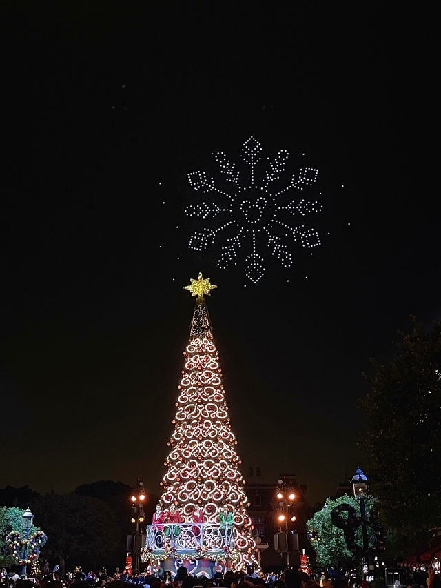 在香港迪士尼樂園的節日夢幻時刻🎄🫧