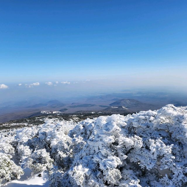 제주 O일 여행 가이드
