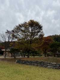 서울 근교 가을 핫플, 은행나무 길, 단풍 명소