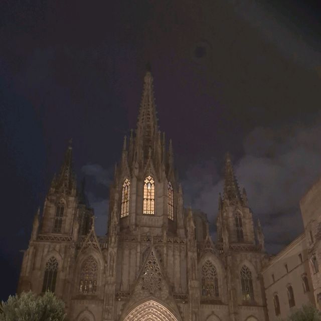 🕍 바르셀로나의 상징적 고딕 걸작, 대성당 🕍