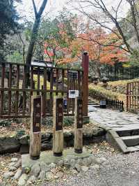 真っ赤なオオモミジが出迎える、彩り豊かな伊達政宗公の廟所