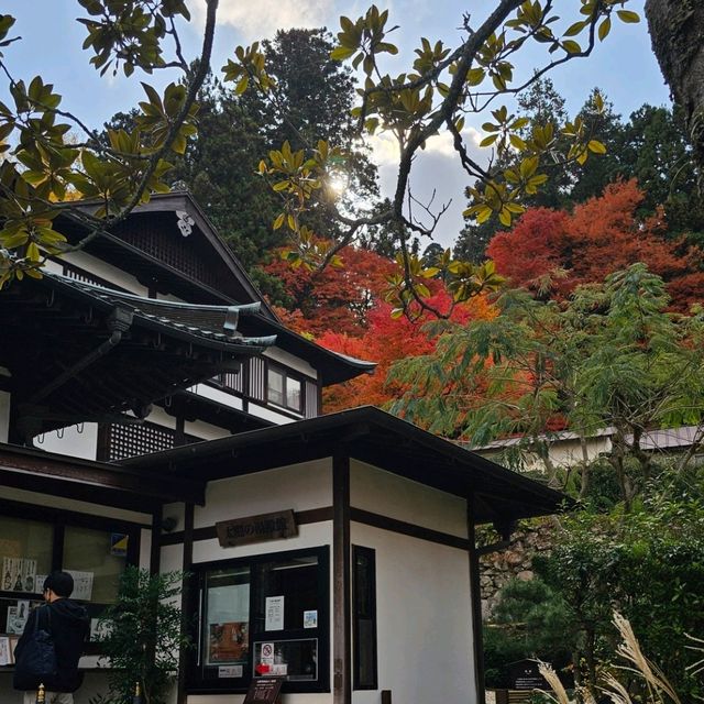 有馬溫泉區〔念佛寺〕與〔極樂寺〕的靜謐之美**