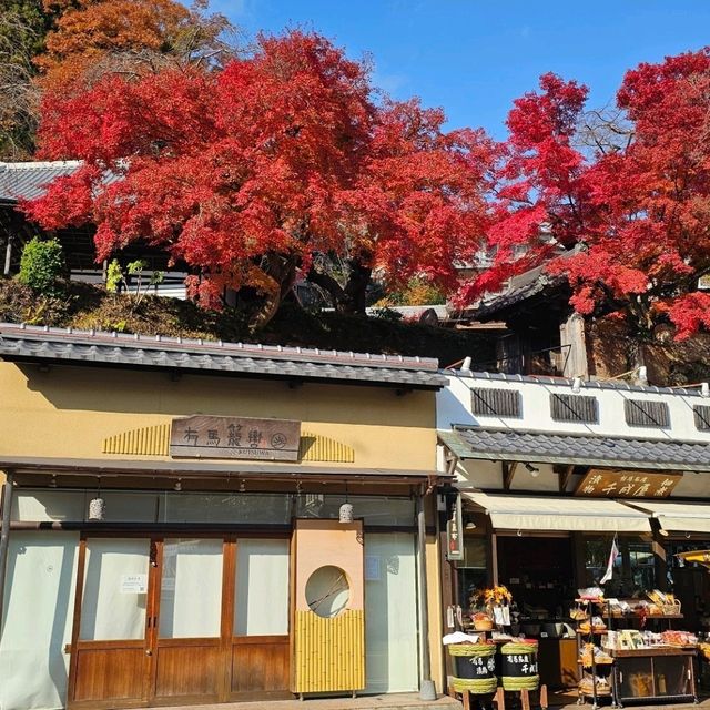 有馬六甲周遊券一日遊暢遊小旅行