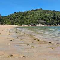 Magnetic Island - Paradise for Everyone