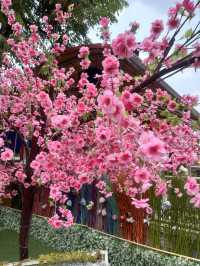 ขอพรท้าวเวชสุวรรณโณองค์ใหญ่ |ปราจีนบุรี🌸