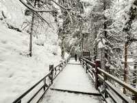 รวมข้อมูลหมู่บ้าน Snow Town ฮาร์บิน