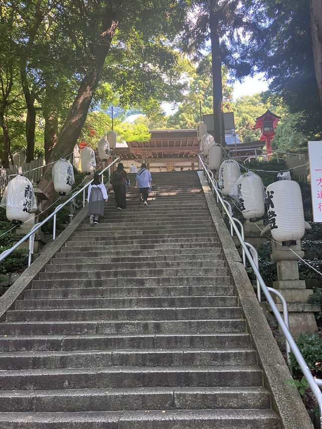 【東大阪観光】枚岡祭り：伝統と熱気が交差する秋の饗宴