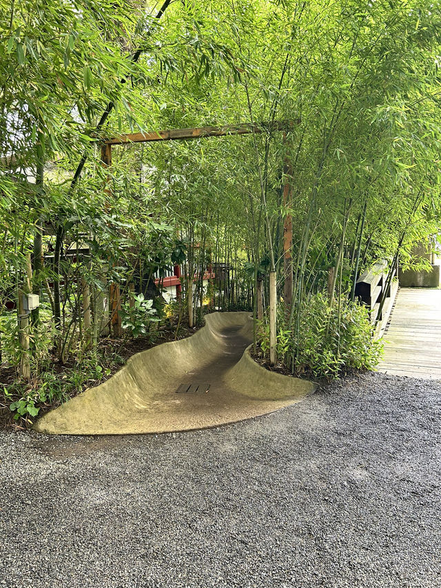 【熱海】来宮の杜で癒しとパワーをもらう旅🪄