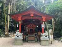 青島的自然生態岩石「鬼之洗衣板」及青島神社⛩️