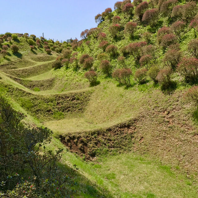 【静岡　お城巡り】