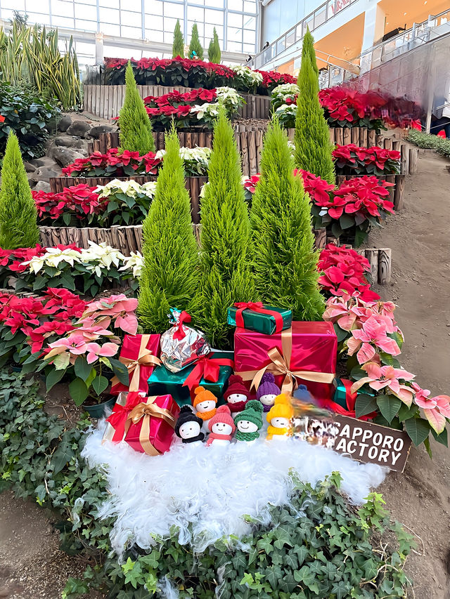 冬の札幌ジャンボクリスマスツリー 2024
