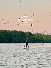 พายซัพบอร์ดชมเหยี่ยว | จ.จันทบุรี 🏄🏻‍♂️🌳🌤️🦅