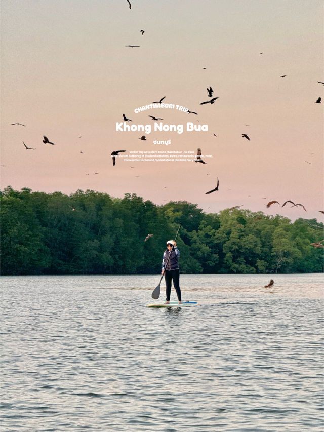 พายซัพบอร์ดชมเหยี่ยว | จ.จันทบุรี 🏄🏻‍♂️🌳🌤️🦅