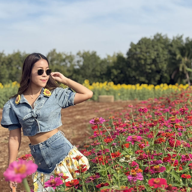 บ้านสวนอนุสรณ์ทุ่งดอกไม้น่าเที่ยวถูกใจสายคอนเทนต์