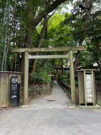 【神奈川🇯🇵】かわいいきんじろうカフェ