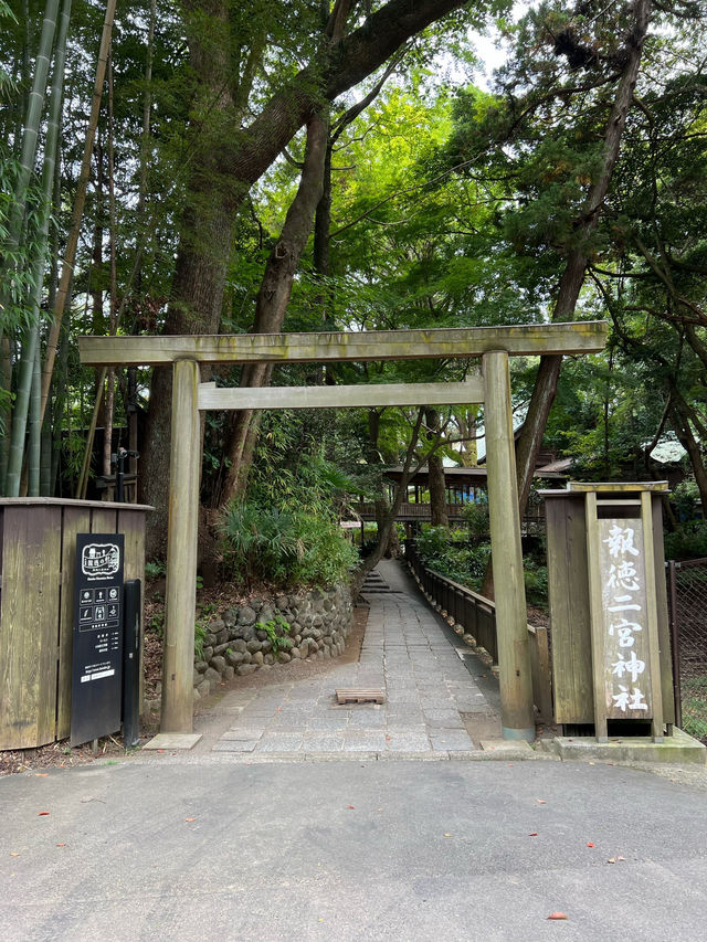 【神奈川🇯🇵】かわいいきんじろうカフェ