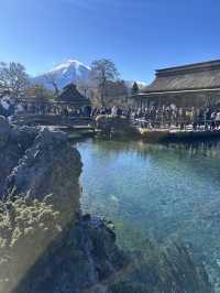 🇯🇵忍野八海｜遊富士山融雪湧泉🏔️