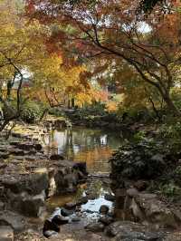  Serene Scenery in Suzhou at Tiger Hill