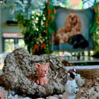 🎅คาเฟ่นั่งชิล Toplofty Cafe เขาใหญ่