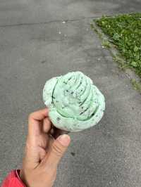 🇨🇭浸在洛桑湖畔悠閒中🚴湖畔踩單車享受謐靜