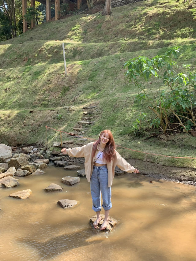 ⛲️คาเฟ่น้ำตก ในเชียงใหม่🍃🦢