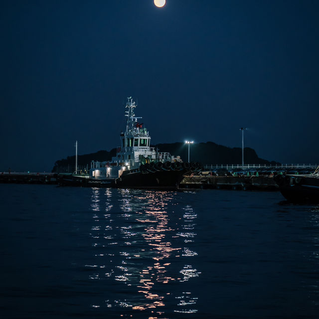 【神奈川】東京湾に浮かぶ無人島🌴猿島