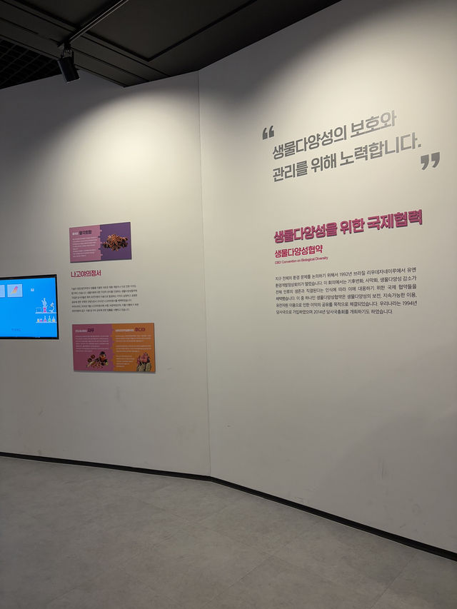 주말에 아이들과 교육 체험가능한 박물관😎