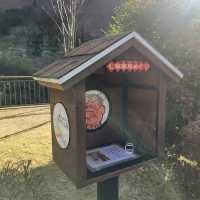 Discover the Tranquil Beauty of Kinugawa Onsen Village