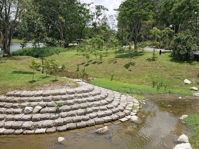 探索新加坡的綠意天堂——Jurong Lake Gardens