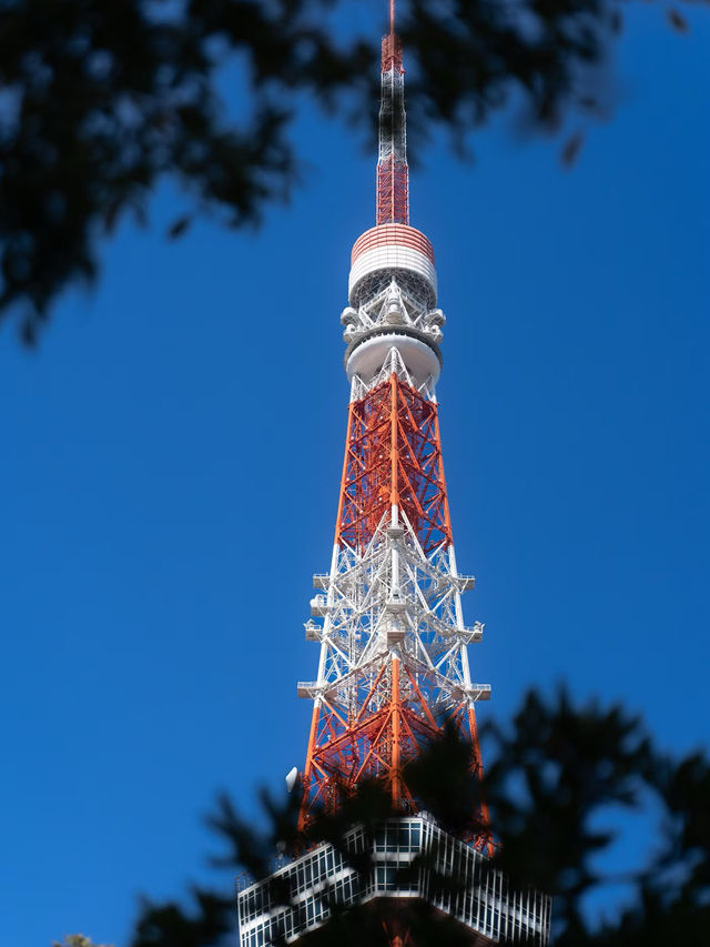 浪漫遊記：東京鐵塔下的愛