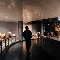 Natural History Museum - Shanghai