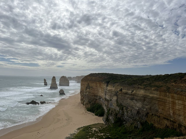 🇦🇺愛大自然的你一定不可以錯過澳洲大洋路 