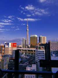 Tokyo 2025 from a season visitor 🗼🇯🇵